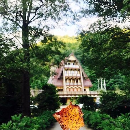Pension Casa Vanatorilor Бэи­ле-Олэ­неш­ти Экстерьер фото