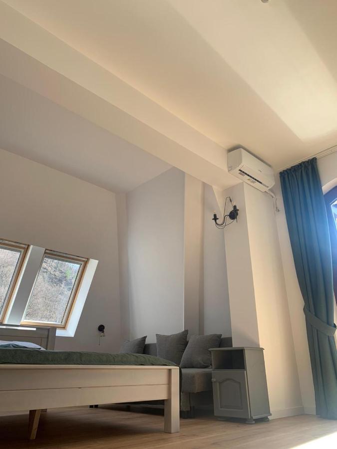 Pension Casa Vanatorilor Бэи­ле-Олэ­неш­ти Экстерьер фото