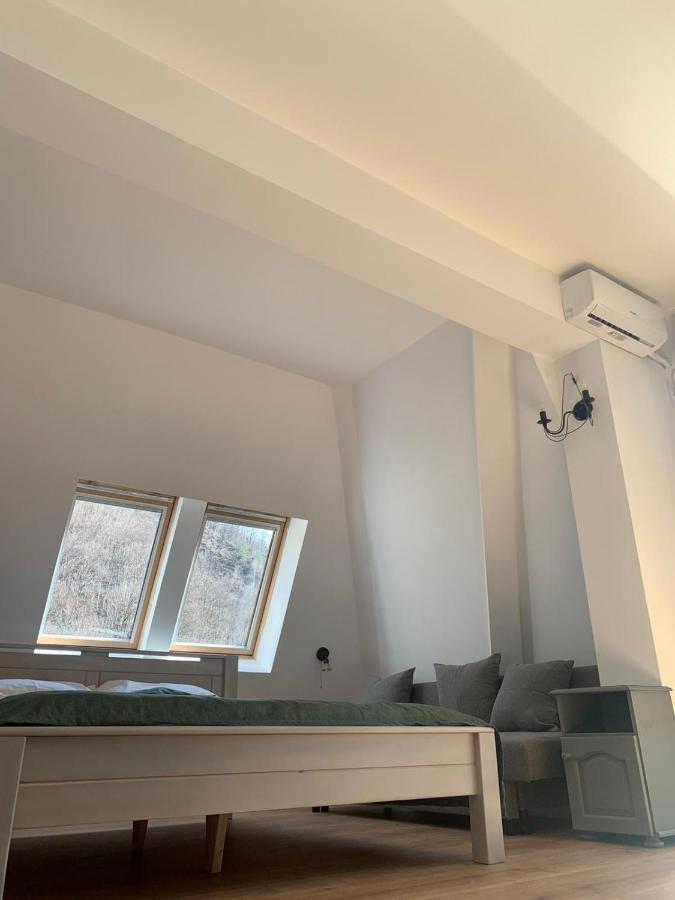Pension Casa Vanatorilor Бэи­ле-Олэ­неш­ти Экстерьер фото