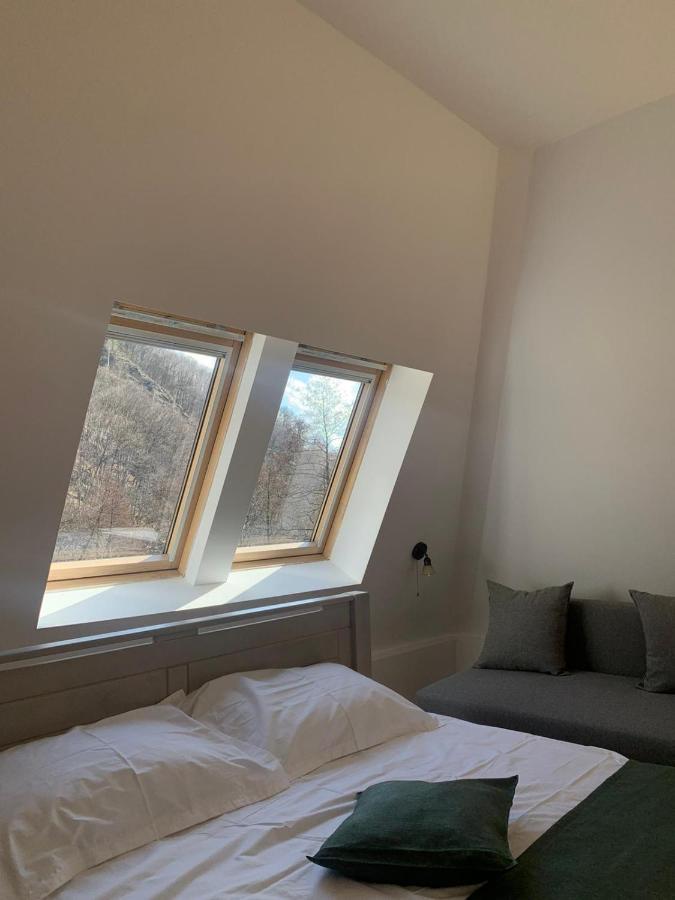 Pension Casa Vanatorilor Бэи­ле-Олэ­неш­ти Экстерьер фото