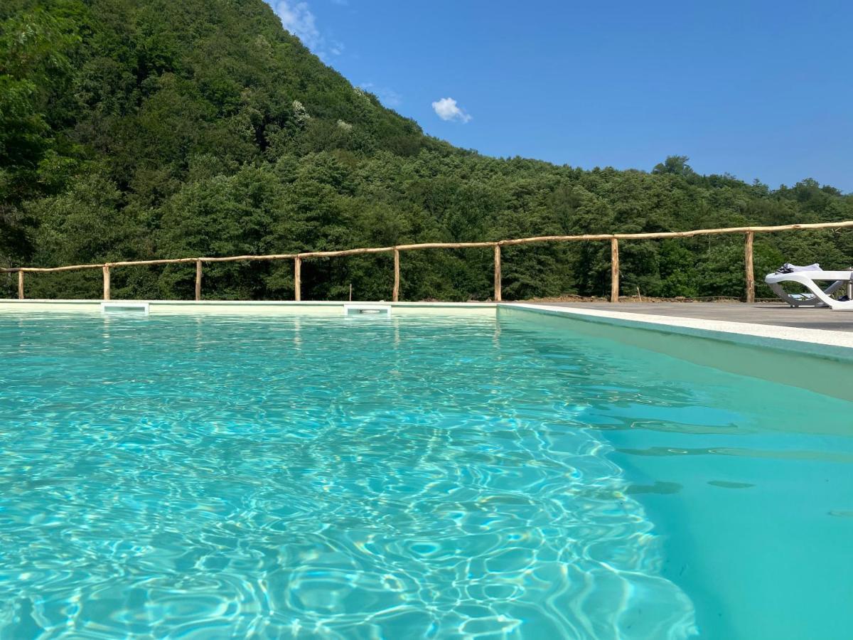 Pension Casa Vanatorilor Бэи­ле-Олэ­неш­ти Экстерьер фото