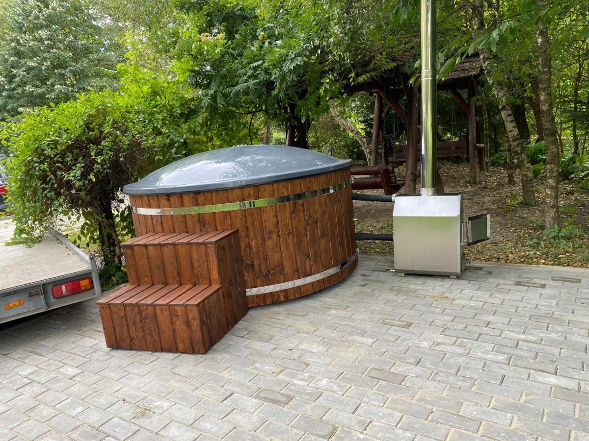 Pension Casa Vanatorilor Бэи­ле-Олэ­неш­ти Экстерьер фото