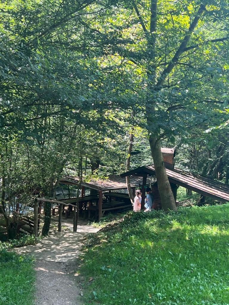 Pension Casa Vanatorilor Бэи­ле-Олэ­неш­ти Экстерьер фото