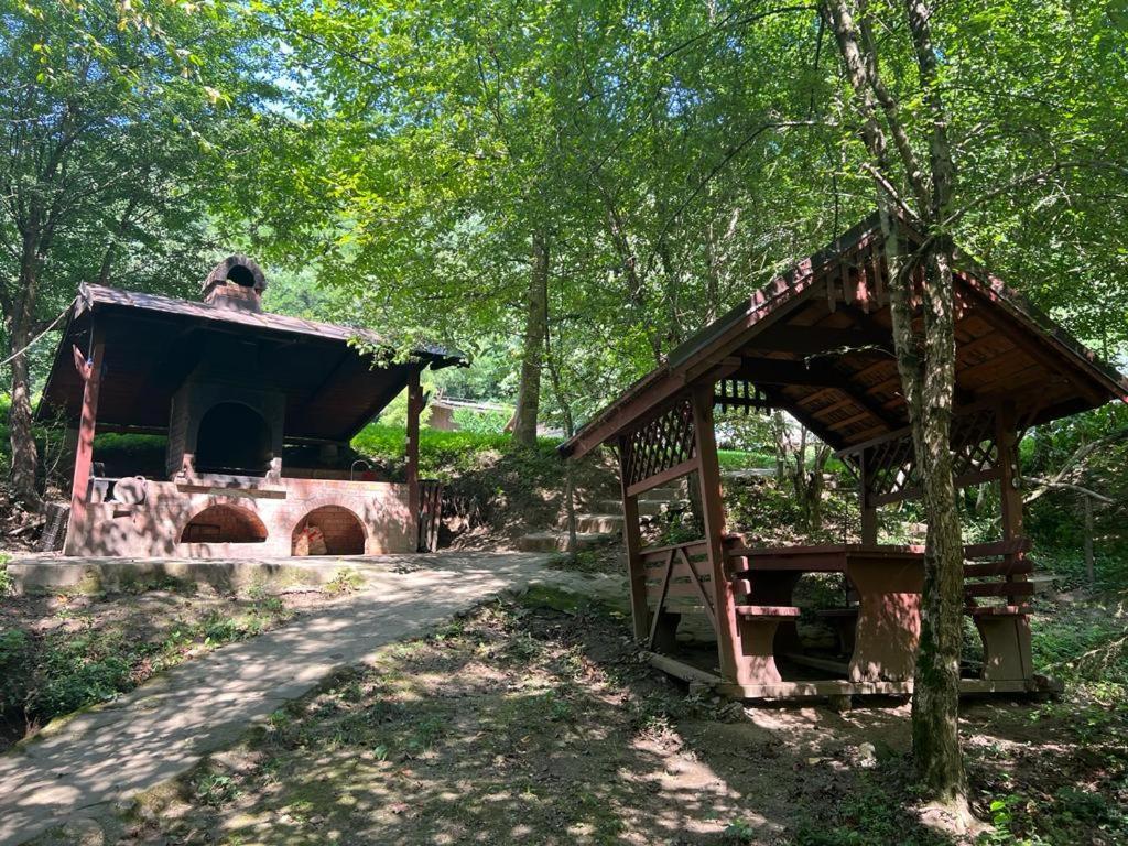 Pension Casa Vanatorilor Бэи­ле-Олэ­неш­ти Экстерьер фото