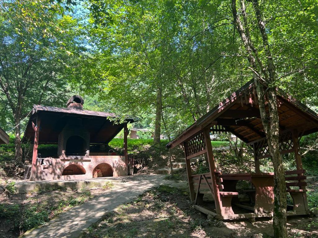 Pension Casa Vanatorilor Бэи­ле-Олэ­неш­ти Экстерьер фото