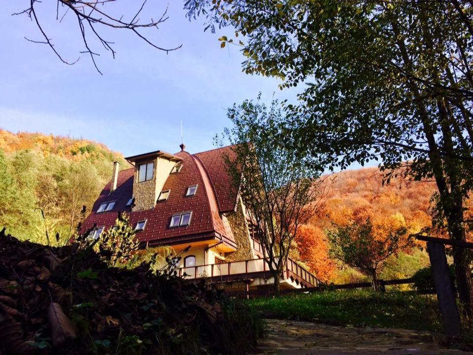 Pension Casa Vanatorilor Бэи­ле-Олэ­неш­ти Экстерьер фото