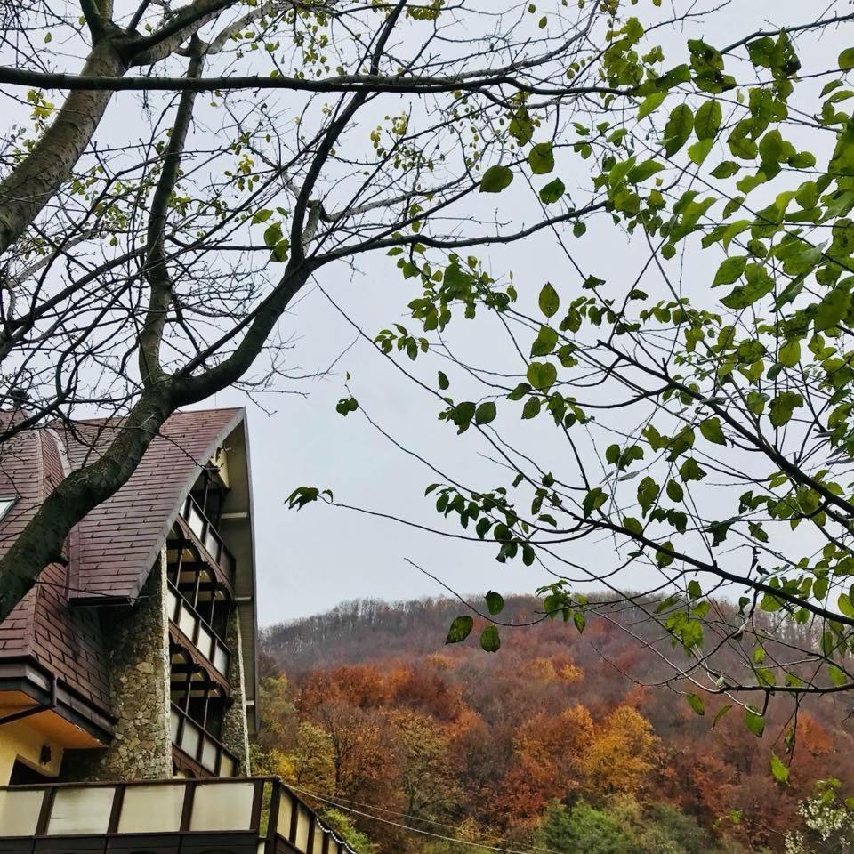 Pension Casa Vanatorilor Бэи­ле-Олэ­неш­ти Экстерьер фото